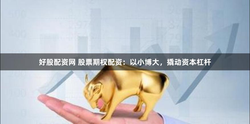 好股配资网 股票期权配资：以小博大，撬动资本杠杆